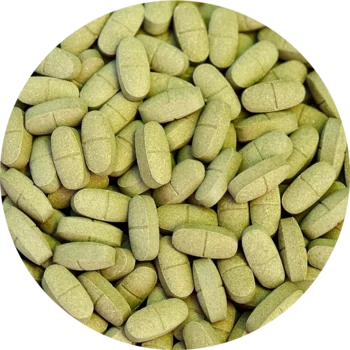 Premium Quality of Natural moringa oleifera  Organic certified moringa Supplement by Moringa Supplements Healthcare Supply