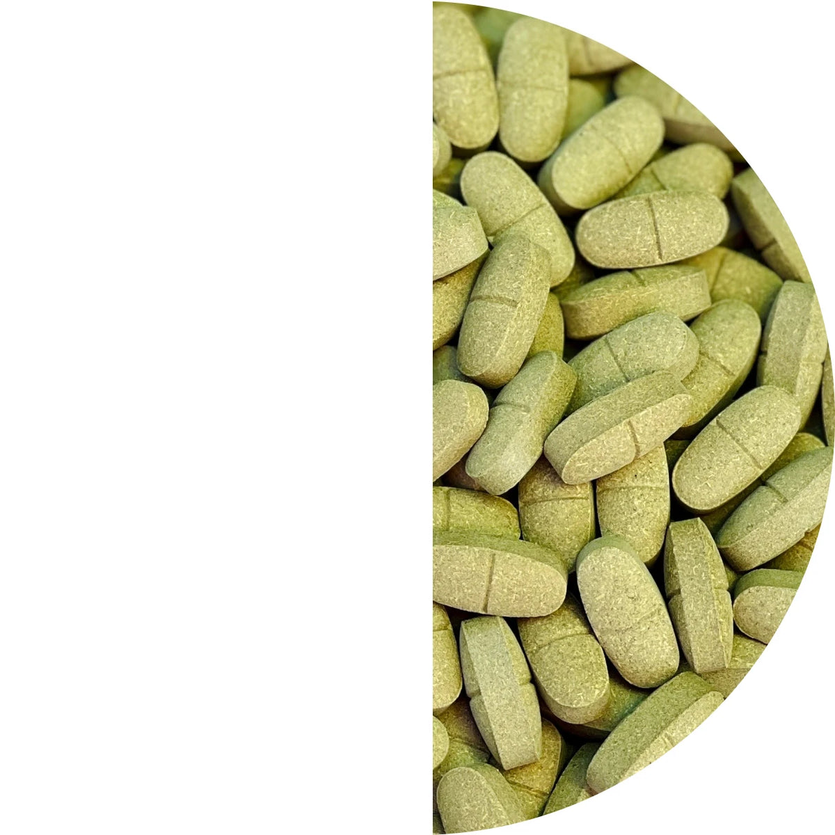 HALAL Certified Organic Moringa tablets Nutritional Supplement by Moringa Supplements Healthcare Supply