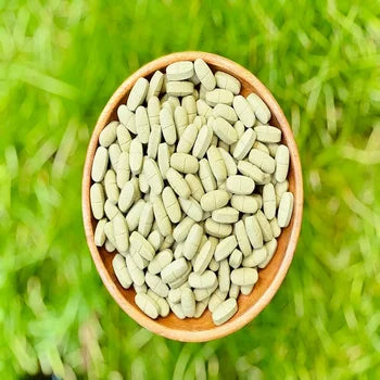HALAL Certified Organic Moringa tablets Nutritional Supplement by Moringa Supplements Healthcare Supply