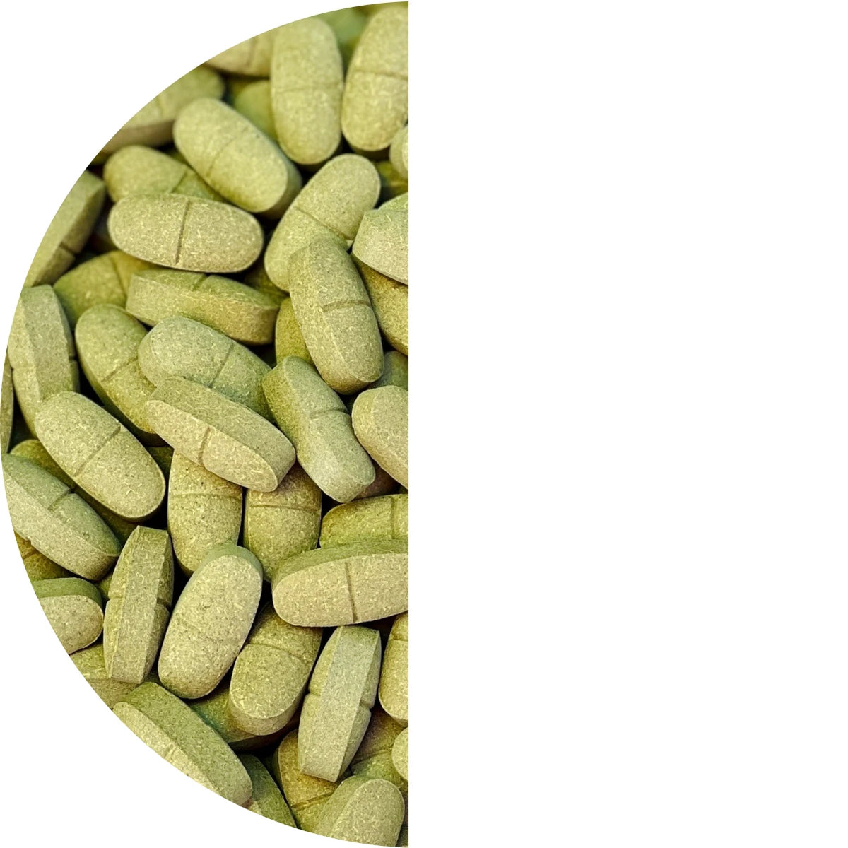 Premium Quality of Natural moringa oleifera  Organic certified moringa Supplement by Moringa Supplements Healthcare Supply