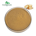 Wellgreen China Manufcutre Supply 100% Natural Herb Nutritional Supplements Tongkat Ali Root Extract Powder