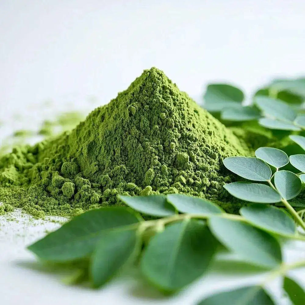 Organic Moringa Leaf Extract Powder Natural Health Plant Extract Bulk Wholesale for Herbal Products and Dietary Supplements