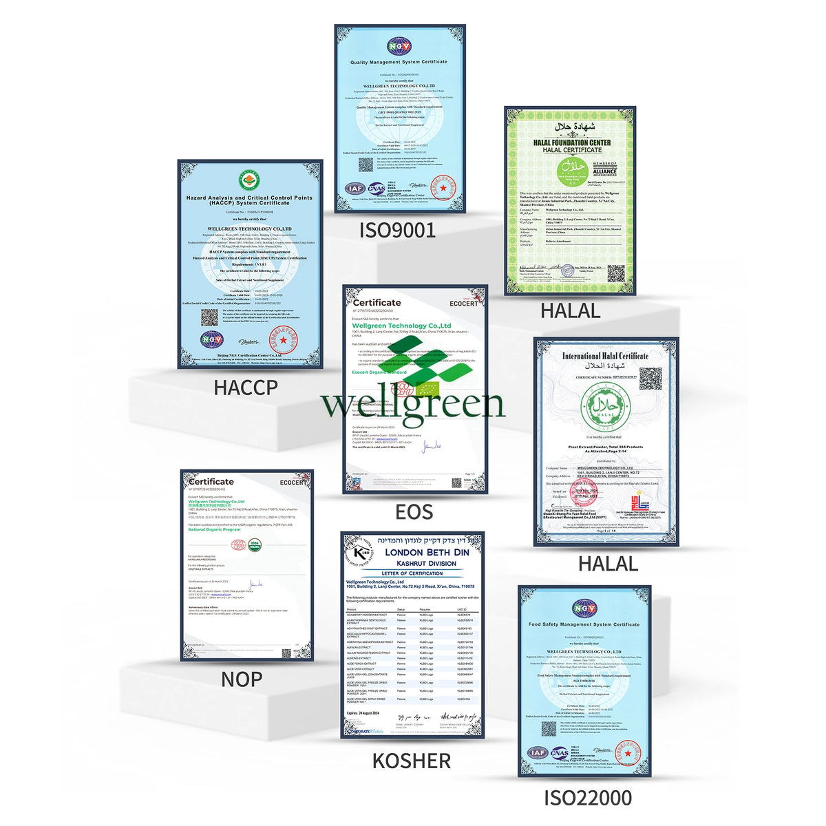 Wellgreen China Manufcutre Supply 100% Natural Herb Nutritional Supplements Tongkat Ali Root Extract Powder