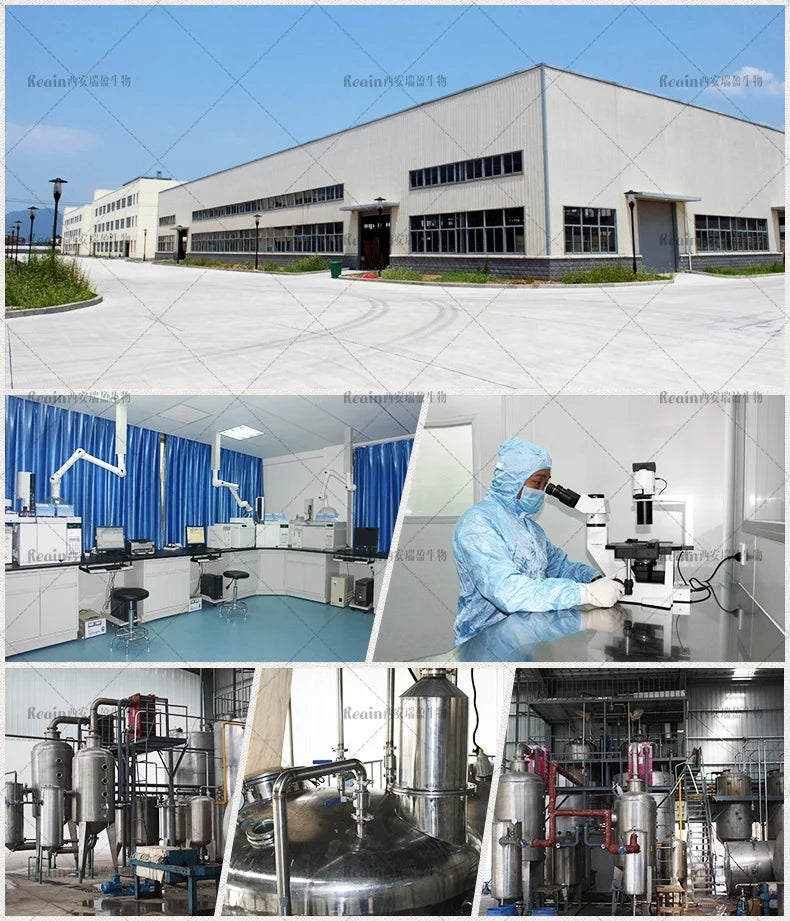 Nutritional Supplements Citicoline  Cas 987-78-0 98% Cdp Choline