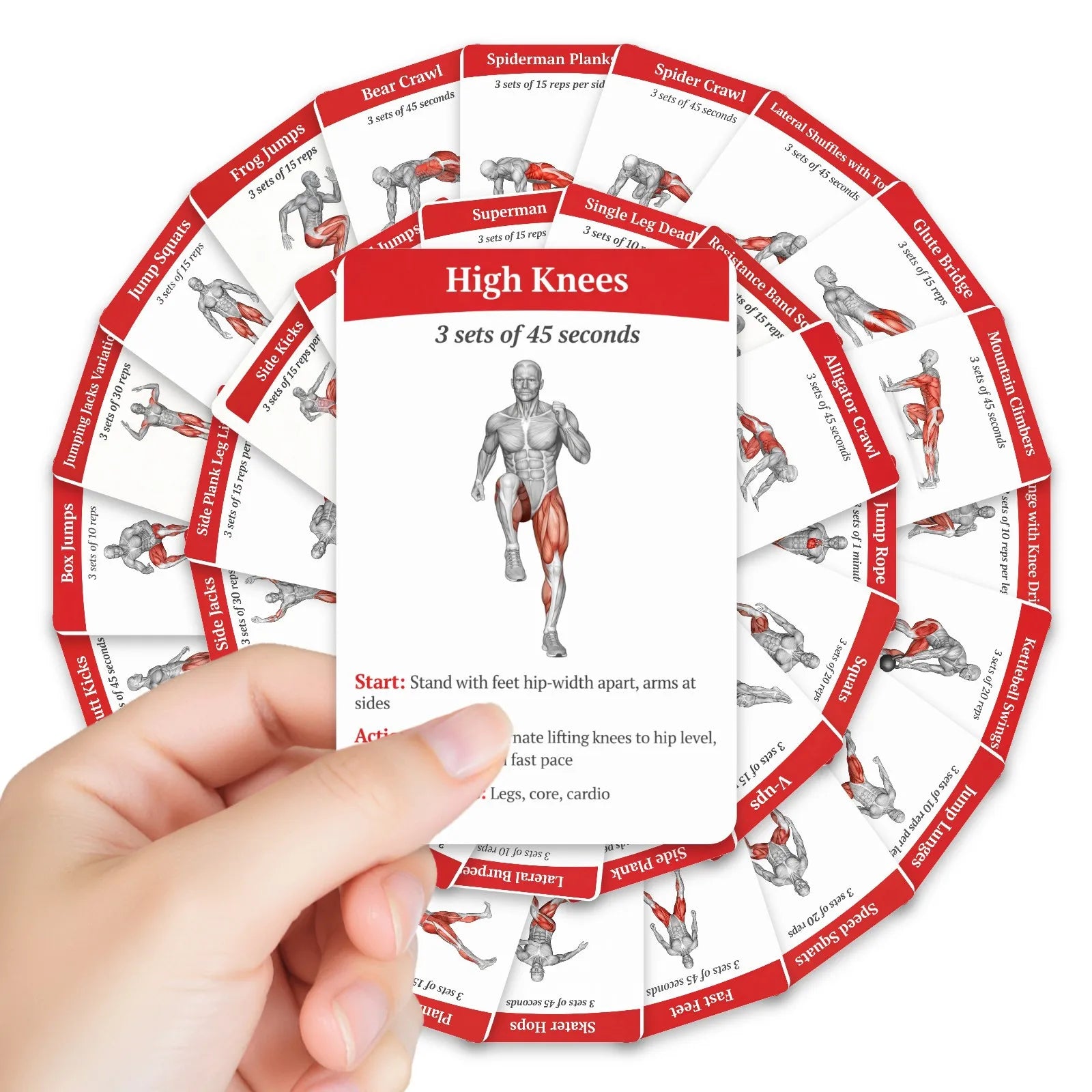 36Pcs Full Body Fat Burning Workout Guide Cards Muscle Diagram Home Fitness Training Instruction Cards For Gym Beginner Exercise
