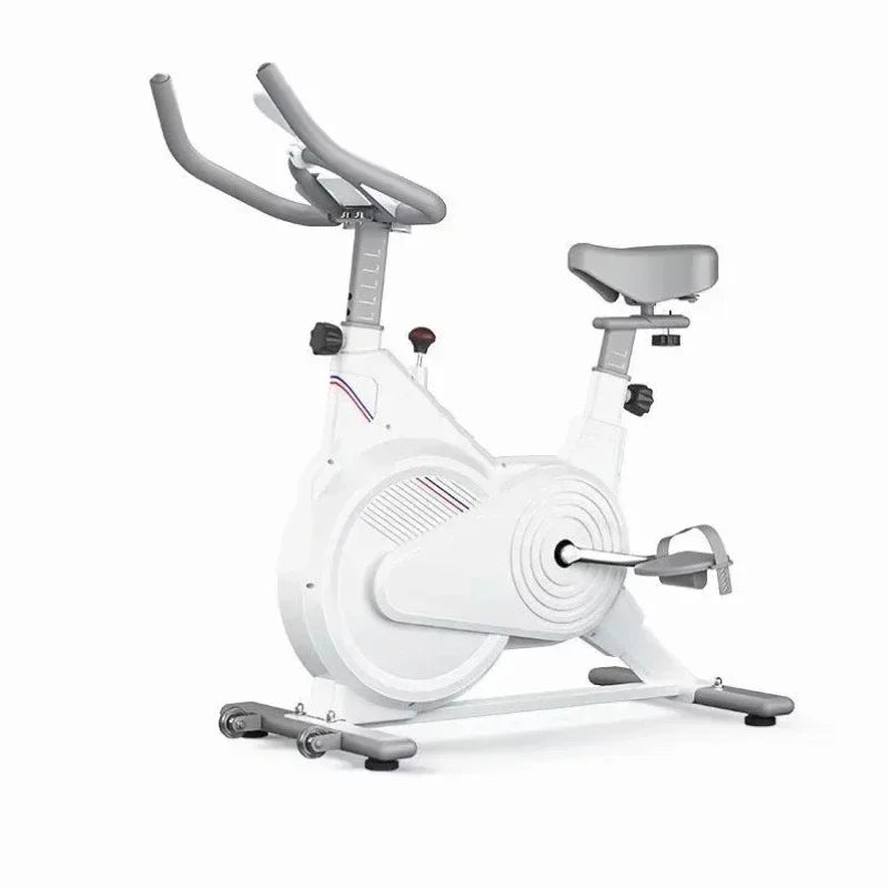 Black and White Exercise Bikes for Weight Loss, Quiet Magnetic Resistance Home Gym Exercise Bikes
