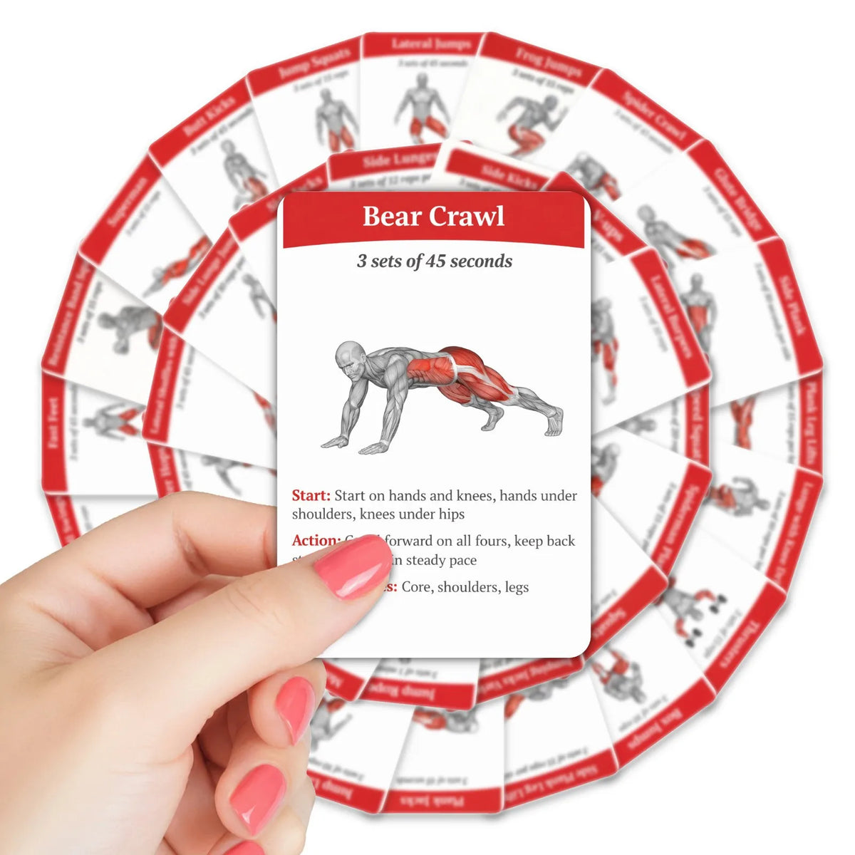 36Pcs Full Body Fat Burning Workout Guide Cards Muscle Diagram Home Fitness Training Instruction Cards For Gym Beginner Exercise